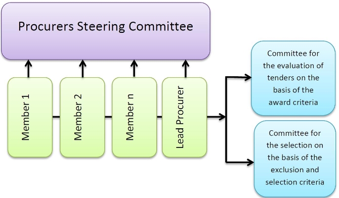 Figure 2: Governance structure for a joint PCP